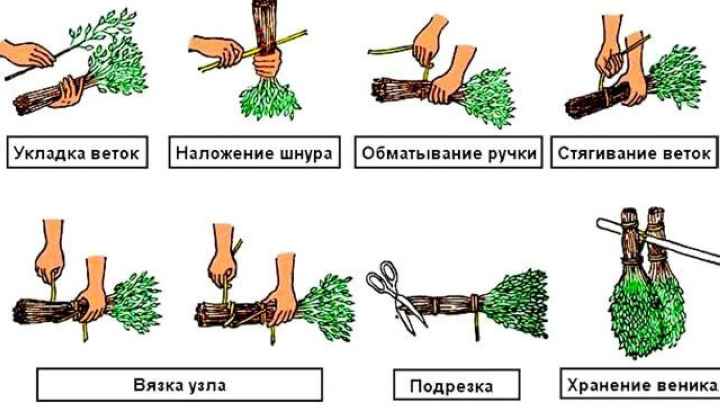 как правильно заваривать веник для бани