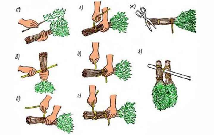 Как сделать правильный веник для бани