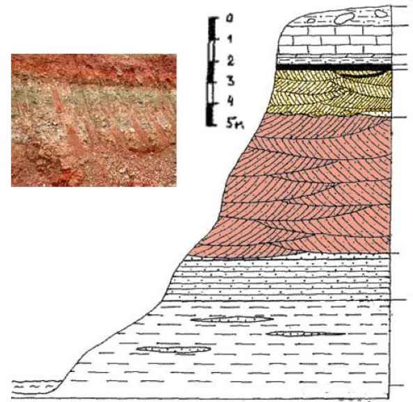 Разрез обнажения с залеганием глин