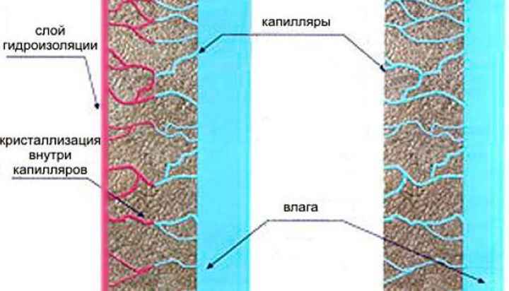 Принцип действия проникающей гидроизоляции
