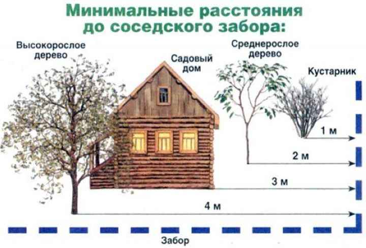 Сосед построил баню близко к забору – что делать, каковы нормы