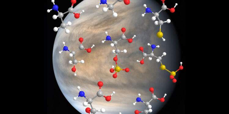 Облака Венеры могут быть гостеприимны для некоторых форм жизни