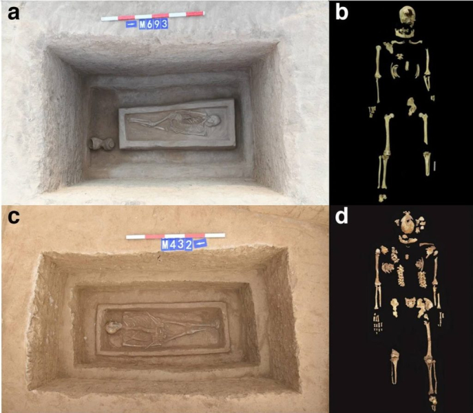 Китайские скелеты возрастом 2500 лет с отрубленными ногами могут быть представителями элиты, получившими «жестокое» наказание в древние времена