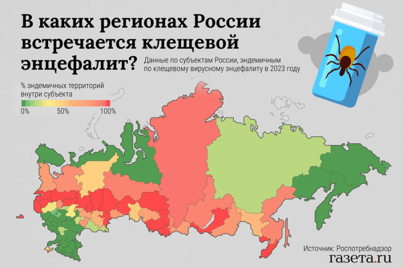 Врач Шишкина: выработка иммунитета после прививки от клещей требует двух недель